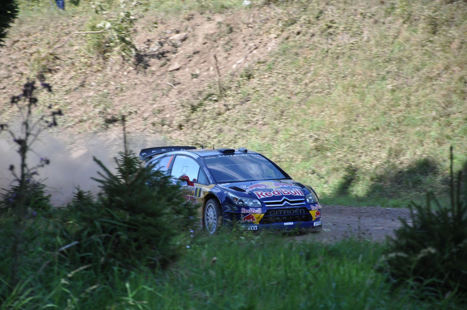 WRC-D 21-08-2010 588 .jpg
